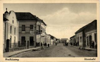 Mezőkászony with Synagogue (EB)