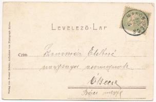 1905 Szászrégen, Reghin; Heti vásár, piac, K. & A. Wischinger és Eduard Rosler üzlete. Gustav Rö...