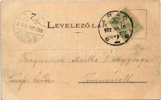 1902 Arad, Várkapu katonákkal. Kerpel Izsó kiadása / castle gate with K.u.K. soldiers (vágott / cut)