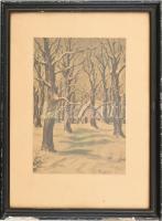 Koszkol jelzéssel: Téli táj. Akvarell, papír, Üvegezett keretben 22x16 cm