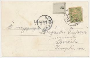 1904 Dés, Dej; Szolnok-Doboka várm. Nemzeti színháza, törvényház, Rákóczi ház. Gálócsi kiadása / the...