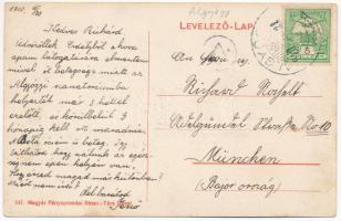 1910 Algyógy, Geoagiu; M. Kir. Állami Vasgyárak szanatóriuma / sanatorium of the iron works (factory...