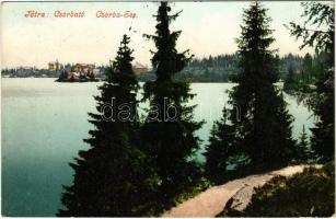 Tátra, Magas-Tátra, Vysoké Tatry; Csorba-tó. Cattarino S. kiadása 196. sz. / Strbské pleso / Csorba-See / lake (EK)