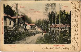 Bártfa, Bártfafürdő, Bardejovské Kúpele, Bardiov, Bardejov; Felső körút, Kornélia, Hólapda, Gül-Baba és Margit nyaralók. Divald Adolf 138. / street view, villas (Rb)