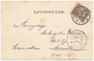 1901 Félixfürdő, Baile Felix; Hőforrás, fürdő és park. Helyfi László kiadása / spa, park, spring. Ar...