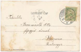 1906 Szatmárnémeti, Satu Mare; Hám János utca, lovas hintó. Divald Károly 823. / street, horse chari...