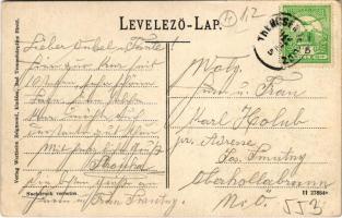 Trencsénteplic-fürdő, Kúpele Trencianske Teplice; Nyaralók völgye, favágó. Wertheim Zsigmond kiadása...