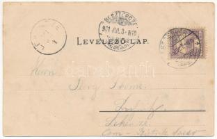 1901 Segesvár, Schässburg, Sighisoara; Burgaufgang, Alberthaus Gymnasial Internat / várkapu, gimnázi...