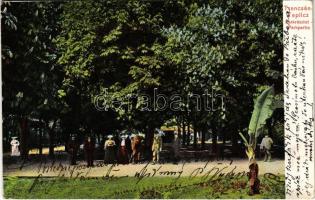 1905 Trencsénteplic, Trencianske Teplice; Park részlet / parkpartie / park (EK)