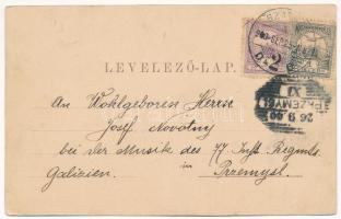 1900 Szatmárnémeti, Satu Mare; Löwy M. Art Nouveau (EK)