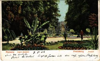 1906 Pozsony, Pressburg, Bratislava; Ligeti díszkert / aupark / park (Rb)