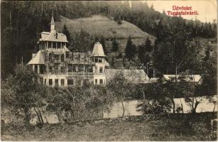 1913 Topánfalva, Topersdorf, Campeni; Schlessel és Walter-féle kastély. Csiky Testvérek kiadása / castle (EK)