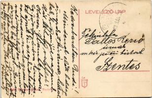 1913 Topánfalva, Topersdorf, Campeni; Schlessel és Walter-féle kastély. Csiky Testvérek kiadása / ca...