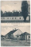 1917 Zséna, Jena (Temes, Timis); utca, kastély / street, castle (EK)