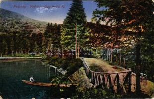 1916 Pozsony, Pressburg, Bratislava; Vödricz völgy II-dik tó, kenu / valley, lake, canoe (kopott sarkak / worn corners)