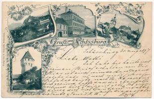 1897 (Vorläufer!) Segesvár, Schässburg, Sighisoara; Teilansicht mit Schulberg, Ev. Bürgerschule, Teilansicht der Burg, Schusterturm / Evangélikus polgári iskola, látkép, torony. F. Petrovits kiadása / Lutheran school, general view, tower. Art Nouveau, floral (Rb)