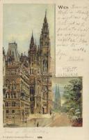 1899 Vienna town hall litho