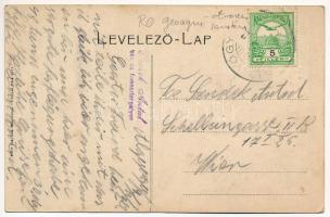 Algyógy, Geoagiu; M. kir. Állami vasgyárak szanatórium megnyitó ünnepsége magyar zászlókkal. Adler f...