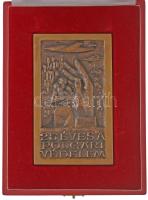 ~1980. 25 éves a Polgári Védelem öntött bronz emlékplakett tokban (85x142mm) T:XF