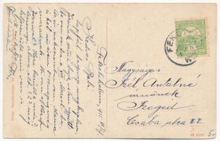 1915 Bucsecs-hegység, Butschetsch, Muntii Bucegi; Erdélyi Kárpátok, vízesés / Siebenbürgische Karpat...