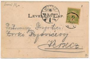 1904 Stájerlak, Steierlak, Stájerlakanina, Steierdorf, Anina; Zsigmond-telep. Hollschütz F. kiadása ...