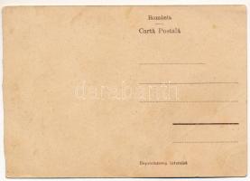 Felsőtömös, Felső-Tömös, Timisu de Sus (Brassó, Kronstadt, Brasov); Sanatoriul Timisul de Sus / szan...