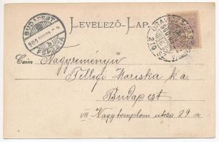 1900 Oravicabánya, Oravica, Oravicza, Oravita; Bányavölgy. Franz Grau kiadása / mine valley, villa (...