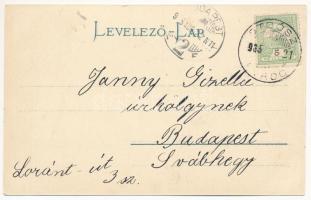 1905 Stószfürdő, Stoósz-fürdő, Kúpele Stós; Hungária szálloda. Wlaszlovits Gusztáv kiadása / hotel