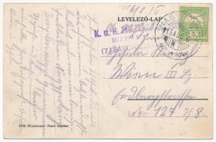 1915 Takcsány, Sztakcsin, Stakcín; Fűrésztelep. Mittelmann Manó kiadása / sawmill (EK)