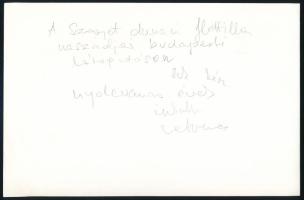 cca 1970-1980 A Szovjet Dunai Flottilla naszádjai Budapesten, nagyméretű fotó, későbbi előhívás, 23x...