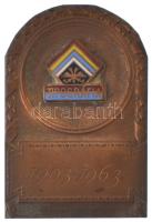 1963. "Tipográfia 1903-1963" részben zománcozott bronz plakett eredeti dísztokban, a klub alapításának 60. évfordulója alkalmából. A klub labdarúgó-szakosztálya 1907-ben az NB I. 5. helyén végzett, ám az 1934-es újjáalapítás után csak a másodosztályig jutott el 1945 és 1946 között. A szakosztály 1972-ben szűnt meg. (58x38mm) T:AU