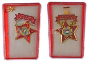 ~1970-1980. "Kiváló Dolgozó" aranyozott, műgyantás fém kitüntetés eredeti tokban, miniatűrrel (2xklf) T:UNC