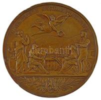 Ausztria 1903. "Károly Ferdinánd / 1903-as Német Ipari kiállítás, Aussig" bronz emlékérem ...