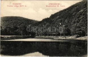 1910 Pozsony, Pressburg, Bratislava; Vödricz völgy III-dik tó / Wödritzthal III Teich / valley, lake (EK)