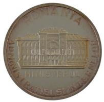 Románia ~1990-2000. "Romania - Administratiei si Internelor Ministerul" ezüstözött fém eml...
