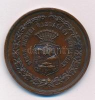 1900. "Bihar megyei Gazdasági Egyesület" bronz emlékérem, hátoldalán "Békei L. hazai permetezőért, N.várad" gravírozással (44mm) T:XF lakkozott