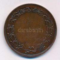 1900. "Bihar megyei Gazdasági Egyesület" bronz emlékérem, hátoldalán "Békei L. hazai ...