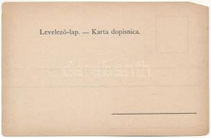 Krapinske Toplice, Krapina-Töplitz; Kola voze iz Zaboka. Art Nouveau litho map (EM)