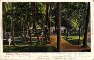 1904 Vihnye, Vihnyefürdő, Kúpele Vyhne; park részlet. Joerges kiadása / park (EK)