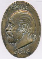 Beck Ö. Fülöp (1873-1945) DN &quot;Emile Zola&quot; bronz lemezplakett (57x40mm) T:XF patina