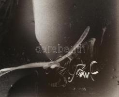 Hollóházi Szász Endre (1926-2003): Az okos lány. Olaj, hollóházi porcelán alapon. Jelzett. A művész ...