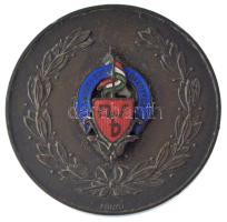 Fonyó Márton (?-?) 1948. Nemzeti Sport Bizottság kétoldalas bronz emlékérem zománcozott rátéttel, eredeti, kopottas tokban (50mm) T:AU