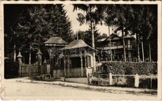 Szováta, Sovata; Bernády villa, székelykapu / Poarta secuiasca / villa, Transylvanian wood carved gate (fl)