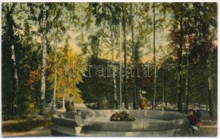 Stubnyafürdő, Túróchévíz, Stubnianske Teplice, Turcianske Teplice; Park részlet, szökőkút. Stransky Jakab és Veje kiadása / park, fountain