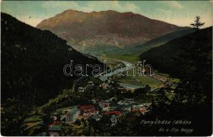1913 Fenyőháza, Lubochna; látkép a Sip heggyel. Holczmann Izidor kiadása / general view, mountain (ázott / wet damage)