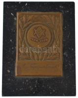 1946. VAC (Vívó Atlétikai Club) bronz plakett A Népsportnak gravírozással (58x81mm), márvány talapzaton (120x91x20mm) T:XF