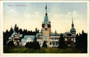 Sinaia, Castelul Peles / castle