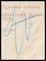 cca 1950 évek közepe/második fele Balatongyörök, gróf Széchenyi Zsigmond (1898-1967) vadász, utazó, ...