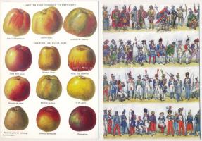 5 db MODERN kinyitható Larousse ismeretterjesztő lap / 5 modern Larousse informative folding cards