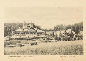 cca 1900 Borszék leporelló, Heiter György fényképész kiadása (Szászrégen, Erdély), kissé foltos lapo...